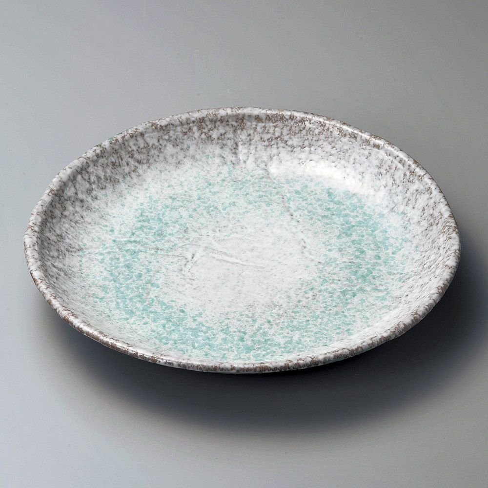 5個セット丸皿 青釉9号丸皿（萬古焼） [ 27 x 4cm ] | 大きい お皿 大皿 盛り皿 盛皿 人気 おすすめ パスタ皿 パーティー 食器 業務用 飲食店 カフェ うつわ 器 ギフト プレゼント誕生日 贈り物 贈